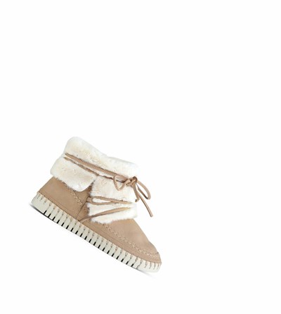 Women's Ilse Jacobsen Ankle Boots Brown | BA8215307