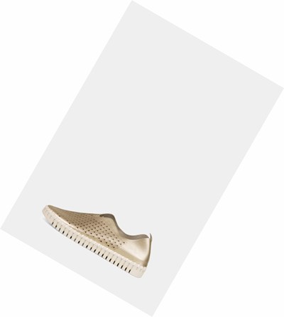 Women's Ilse Jacobsen Ballerina Brown | BR2671534